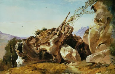 Estudio de rocas y raíces cerca de Olevano